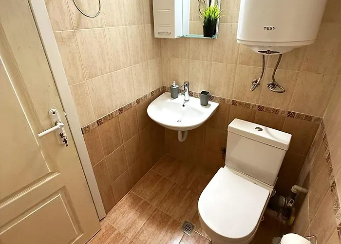 Апартаменты Vasi *